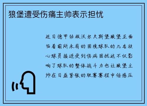 狼堡遭受伤痛主帅表示担忧